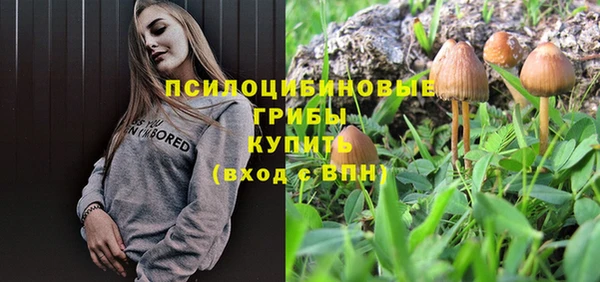 дурь Беломорск