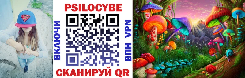 Псилоцибиновые грибы прущие грибы  сколько стоит  Куйбышев 